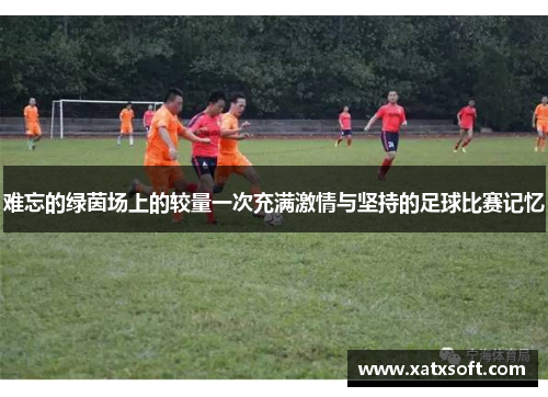 难忘的绿茵场上的较量一次充满激情与坚持的足球比赛记忆
