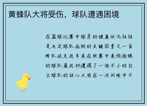 黄蜂队大将受伤，球队遭遇困境